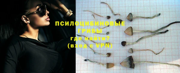 apvp Волосово