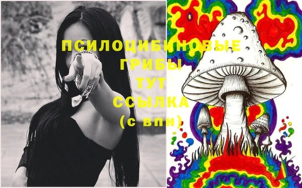 кокаин Богородицк