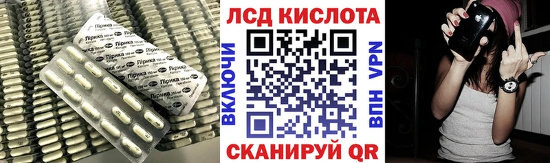 мориарти Telegram  Новоржев  ЛСД экстази ecstasy  купить закладку 