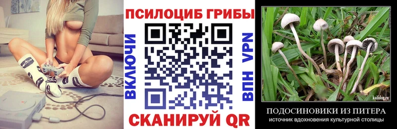 продажа наркотиков  Новоржев  Псилоцибиновые грибы GOLDEN TEACHER 