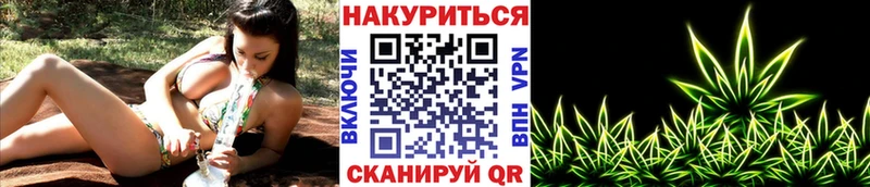 Марихуана SATIVA & INDICA  купить наркоту  Новоржев 